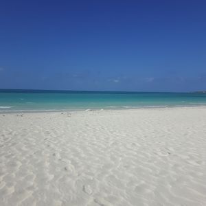 Meet your Posher, Tarralee